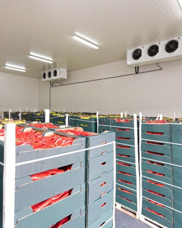 چک‌لیست انتخاب انبار برای نگهداری ایمن کالاهای حساس